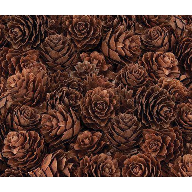 Pine Cones Mini 190g