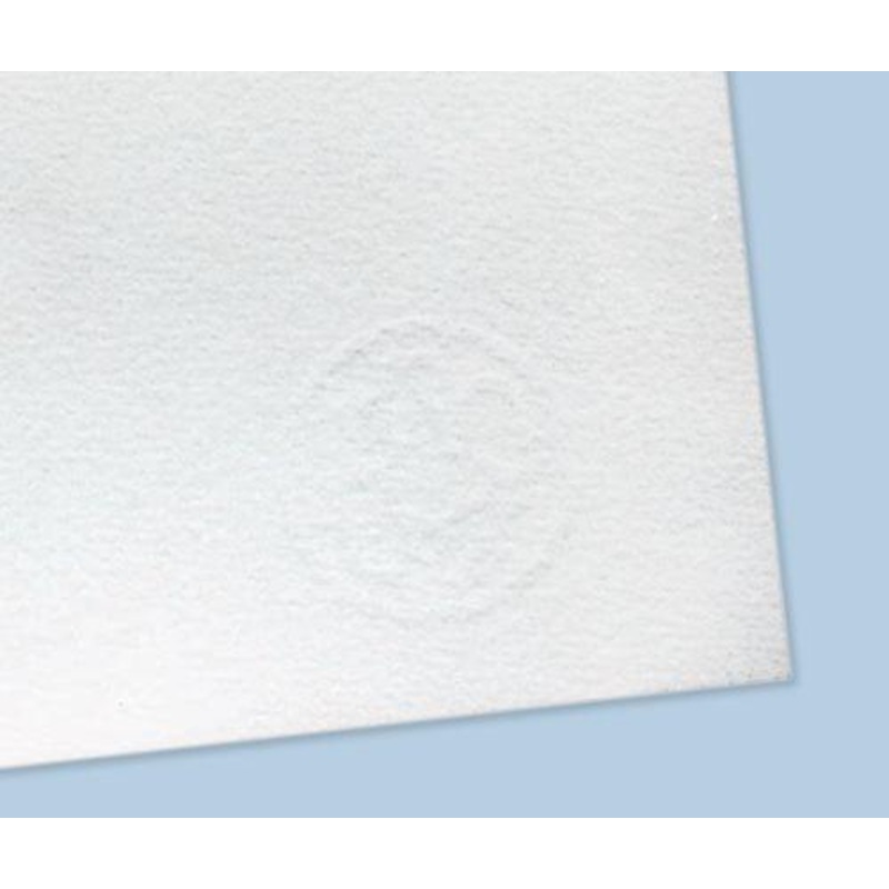 Hahnemuhle Paper 300gsm 53 x 78cm Pack of 10