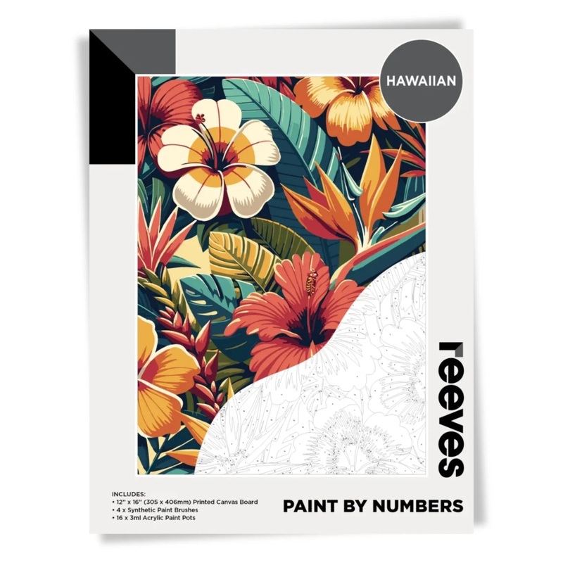 Reeves Paint by Numbers 12X16 Hawaiian