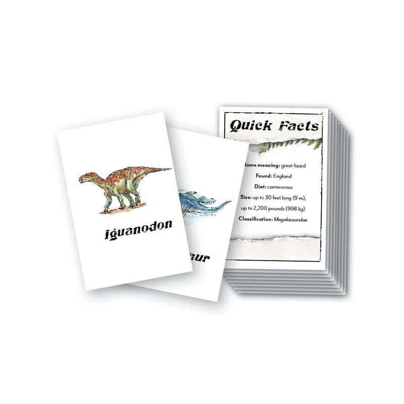 Dinosaurs Printed Flashcards